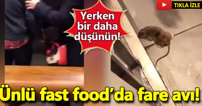 Dünyaca ünlü fast food restoranında fare avı