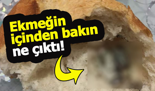 Ekmeğin içinden çıkan şey mide bulandırdı!