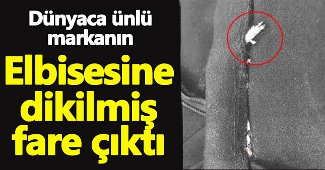 Elbisesine 'Dikilmiş' fare buldu!
