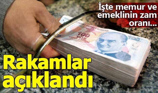 Emekli maaşına ne kadar zam yapıldı - 2018 memur ve emekli maaşlarına kaç para zam yapıldı?