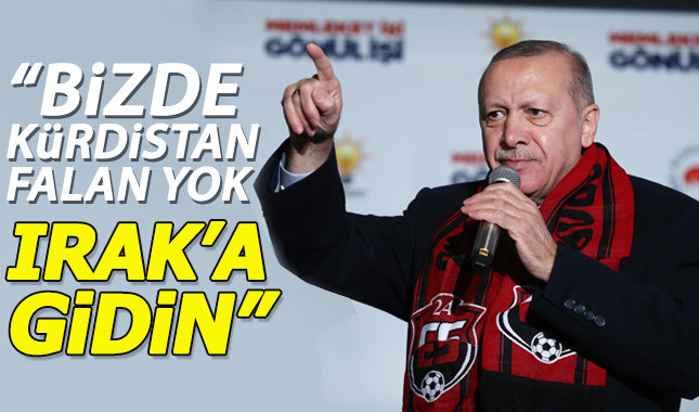 Erdoğan: Kürdistan meraklıları Irak'a gitsin