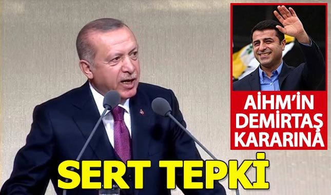 Erdoğan'dan AİHM'e "Selahattin Demirtaş" tepkisi