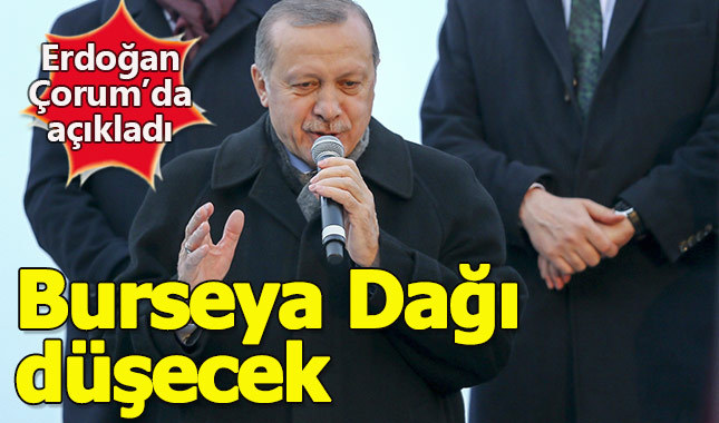 Erdoğan'dan Afrin harekatına ilişkin açıklama