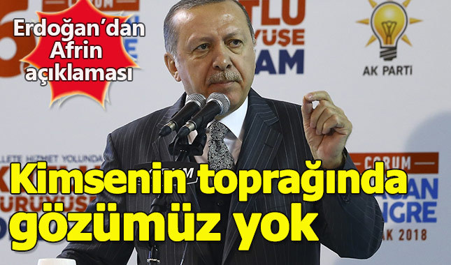 Erdoğan'dan Burseya Dağı açıklaması
