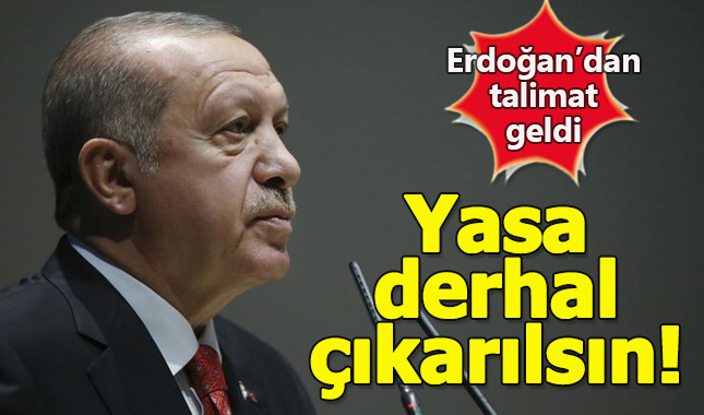 Erdoğan'dan hayvan hakları için talimat geldi: Yasa hala neyi bekliyor?
