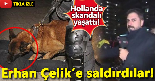 Erhan Çelik Hollanda'da saldırıya uğradı
