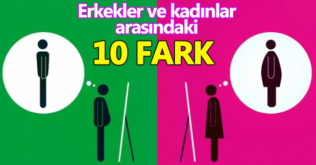 Erkekler ve kadınlar arasındaki farkları ortaya koyan 10 anlamlı görsel
