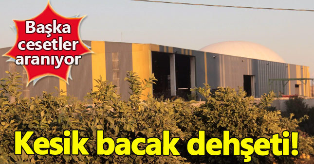 Fabrika'da kesik bacak dehşeti