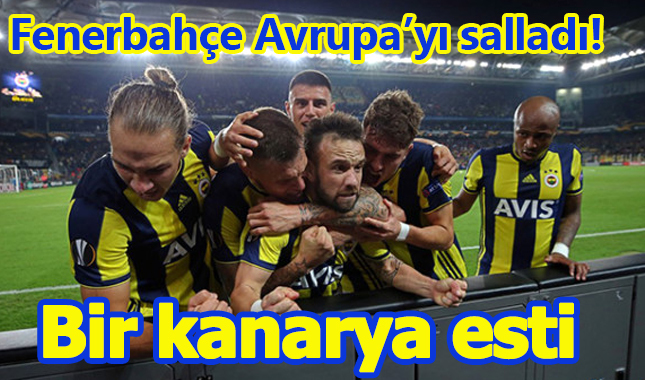 Fenerbahçe 2 - 0 Anderlect maçı özeti golleri izle