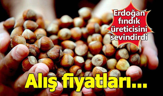 Fındık fiyatları ne kadar, Levant fındık Giresun fındık alış fiyatı kaç para oldu?