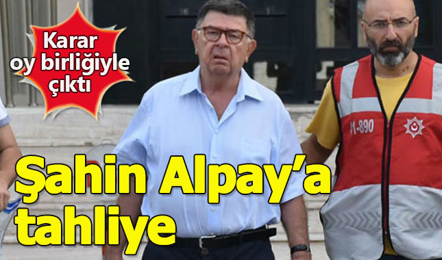 Gazeteci Şahin Alpay tahliye edildi - Şahin Alpay kimdir?
