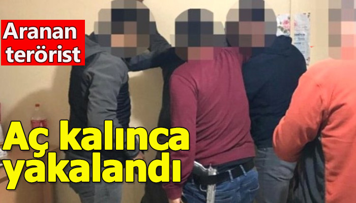 Gri kategoride aranan terörist yakalandı