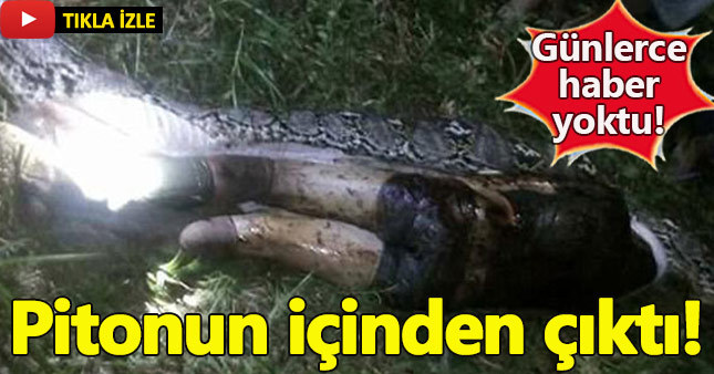 Günlerce haber alınamayan adam piton yılanının içinden çıktı