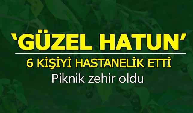 'Güzel hatun' 6 kişiyi hastanelik etti