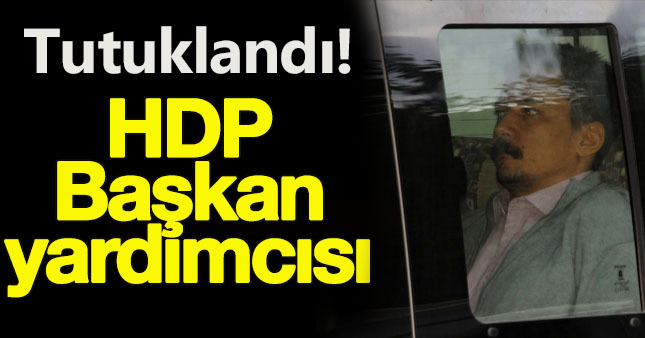 HDP Eş Genel Başkan Yardımcısı tutuklandı