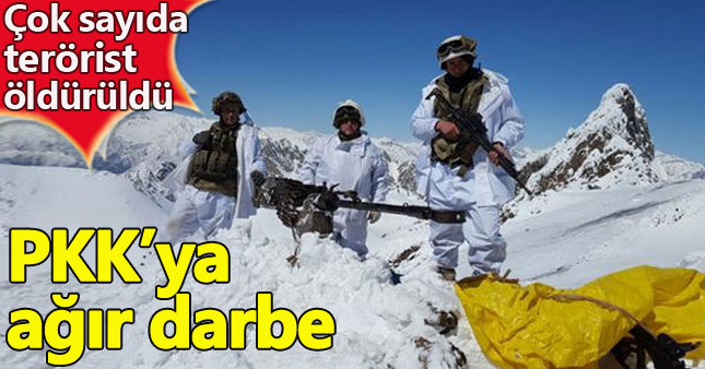 Hakkari ve Tunceli'de PKK temizliği
