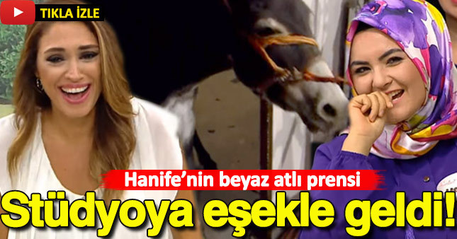Hanife'nin 'Beyaz atlı prensi' stüdyoya eşekle geldi