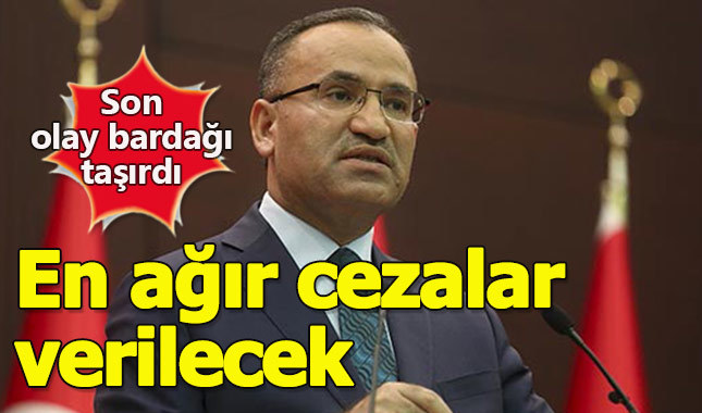 Hayvana yönelik şiddete ciddi cezalar geliyor