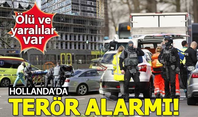 Hollanda'da silahlı saldırı: Ölü ve yaralılar var
