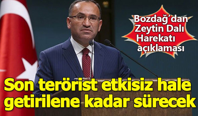 Hükümet Sözcüsü Bekir Bozdağ'dan Zeytin Dalı Harekatı'na dair açıklama