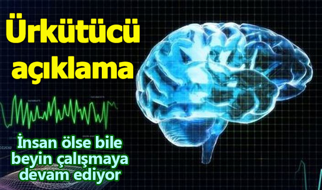 İnsan öldükten sonra beyin çalışmaya devam ediyor