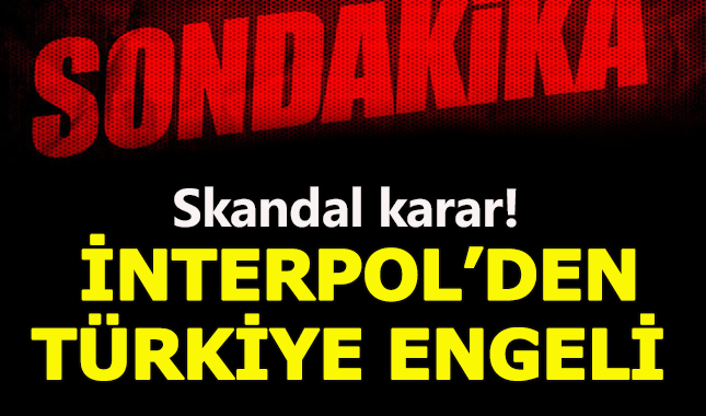 İnterpol, Türkiye'nin veri giişlerini askıya aldı!