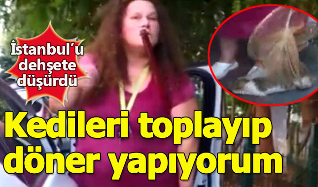 İstanbul'da sokak kedilerini toplayan kadın dehşet yarattı