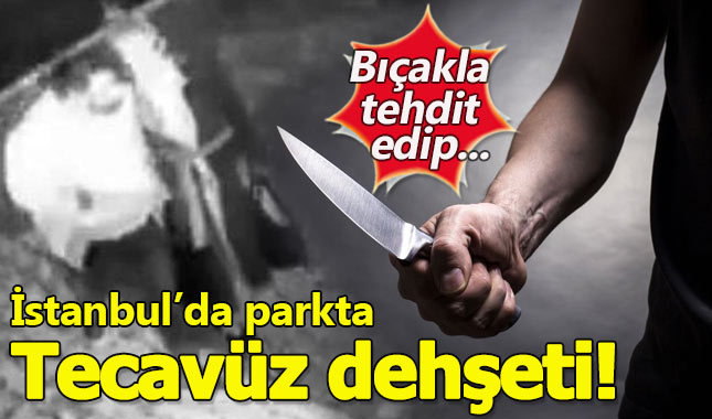 İstanbul'daki bir parkta tecavüz dehşeti