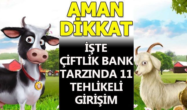 İşte Bakanın uyardığı "Çiftlik Bank" tarzında 11 tehlikeli girişim