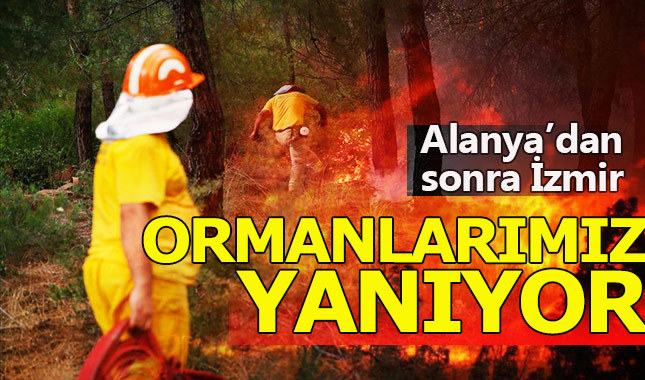 İzmir'de korkutan yangın... Bazı ilçelerde su ve elektrik kesintisi