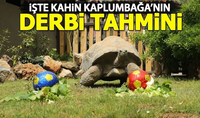 Kahin kaplumbağa Tuki, derbi tahminini yaptı