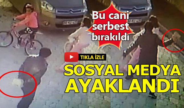 Kaldırım taşıyla küçük kızın başına vuran şahıs hakkında skandal karar!