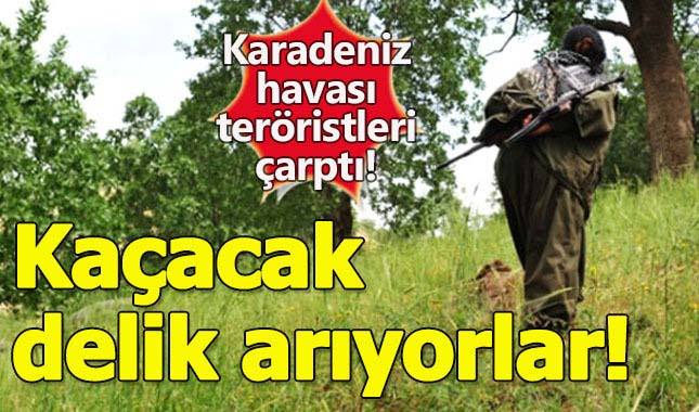 Karadeniz'de barınamayan teröristler kaçmak için Kandil'den izin istiyor