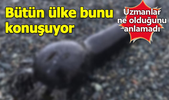 Karaya vuran dev yaratık korku yarattı