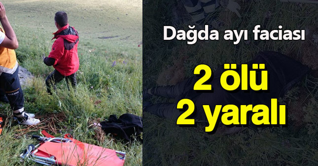 Kars'ta ayı dehşeti: 2 ölü, 2 yaralı