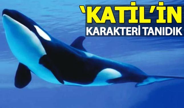 Katil'in karakteri tanıdık çıktı