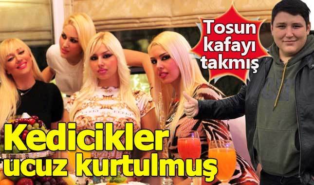Kedicikler 'Tosun'dan ucuz kurtulmuş!