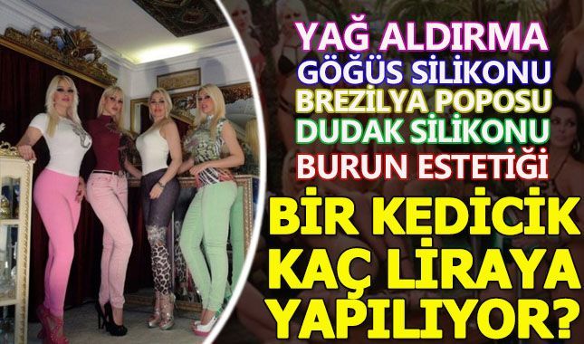 Kediciklerin görünümleri için harcanan para ne kadar?