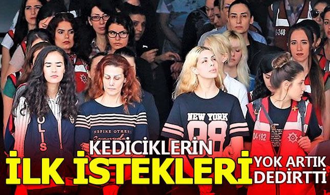 Kediciklerin ilk isteği duyanları şaşırttı