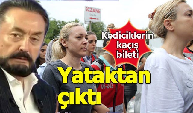 Kediciklerin serveti yastık altından çıktı