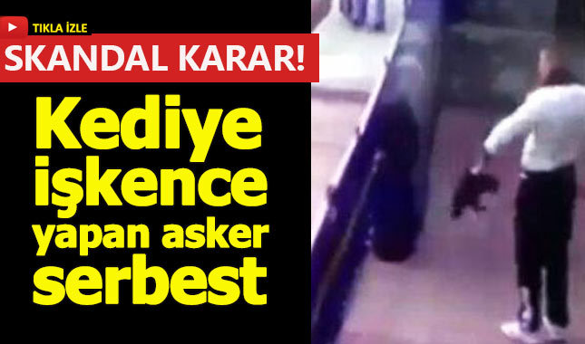 Kediye işkence yapan asker serbest bırakıldı