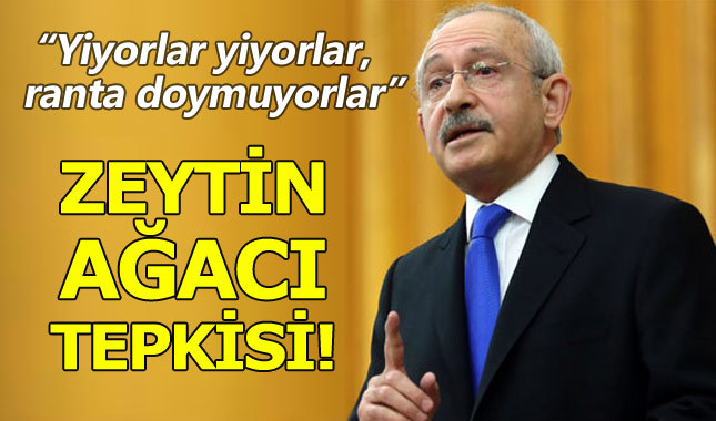 Kılıçdaroğlu: Zeytin ağaçlarından ne istiyorsunuz?