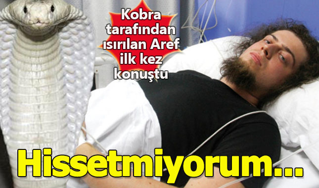 Kobra tarafından ısırılan Aref ilk kez konuştu: Hisstermiyorum! Son dakika sağlık durumu Öldü mü
