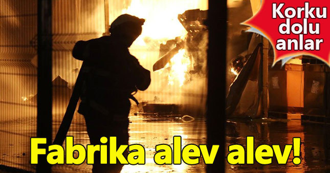 Kocaeli'de araba fabrikasında yangın