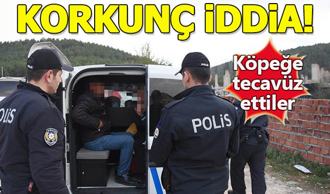 Köpeğe tecavüz ederken yakalanan 2 kişi gözaltına alındı