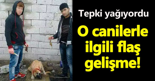 Köpeğin kulağını kesen caniler yakalandı