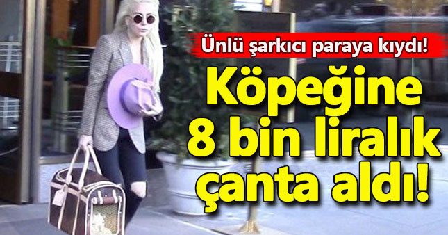 Köpeğine 8 bin liralık çanta aldı