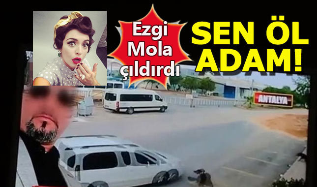 Köpek katili adam, Ezgi Mola'yı çıldırttı