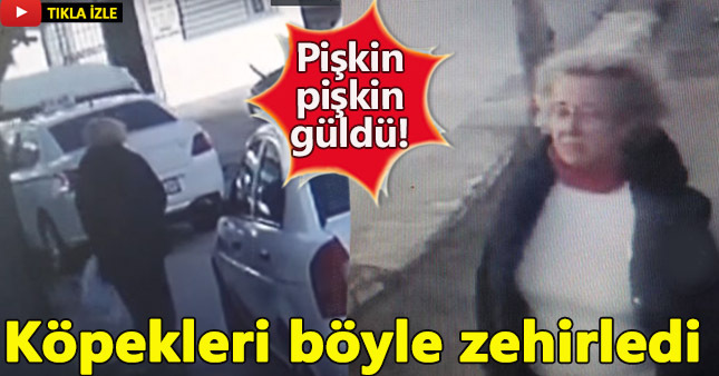 Köpekleri zehirledi gülerek olay yerinden uzaklaştı