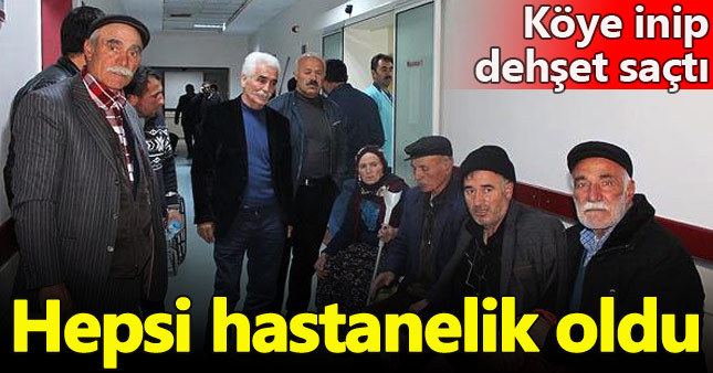 Köye inen aç kurt dehşet saçtı: 4 yaralı
